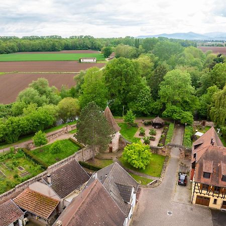 Guémar La Ruine - Gite D'Alsace Jusqu'A 10 Personnes Avec Spa Interieur מראה חיצוני תמונה